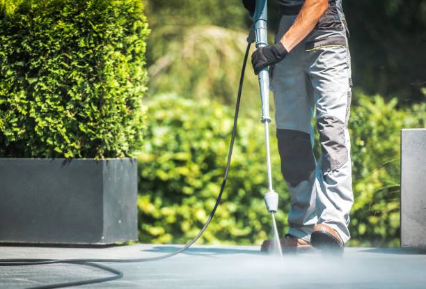 Best Patio and Deck Pressure Washing  in Washington, WV